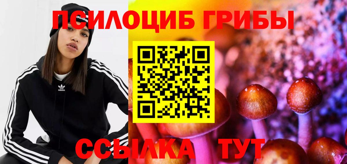 Железноводск  Псилоцибиновые грибы GOLDEN TEACHER  Вход с VPN  Псилоцибиновые грибы Psilocybe 